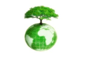 Minimizar el uso de papel