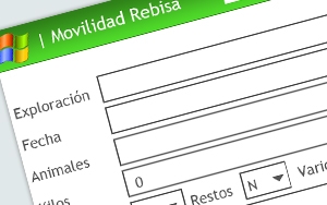Software de movilidad para REBISA, S.A.